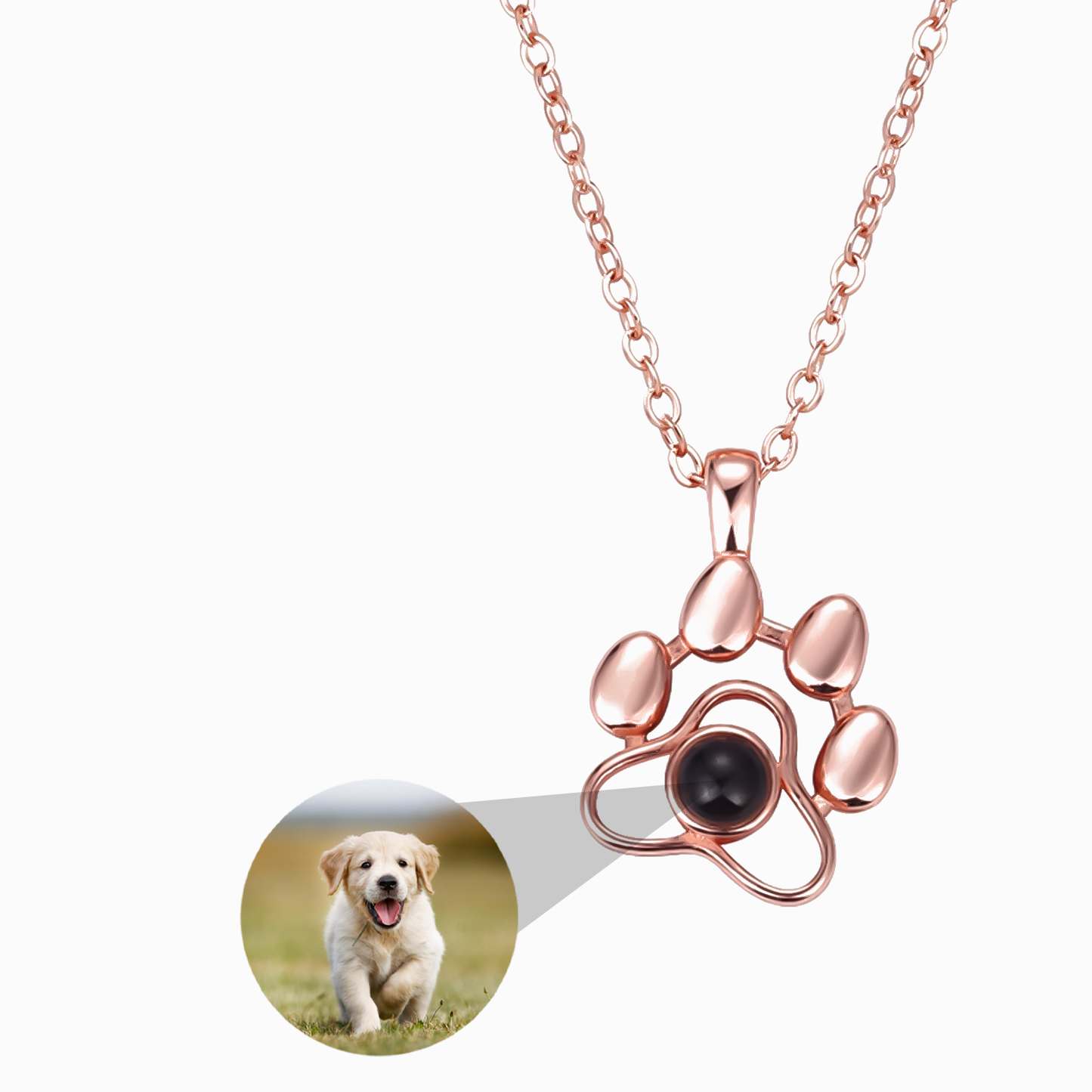 Collier Toutou avec Photo Personnalisée